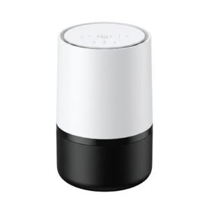 Air Ionizers