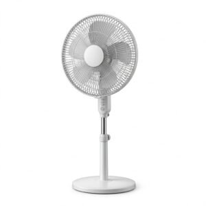 Fans